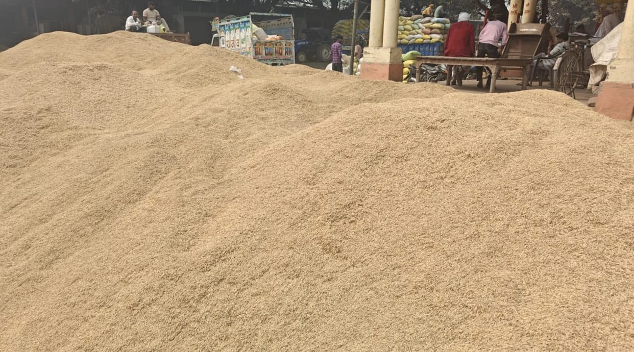 kasganj news rice purchasing