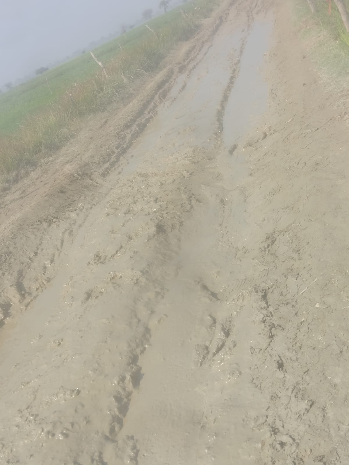 The road from Surir to the pontoon bridge is covered in thick mud.