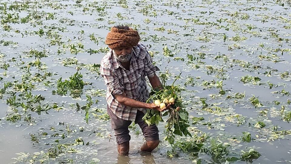 Drain track breaks near Bahlolpur, crops submerged