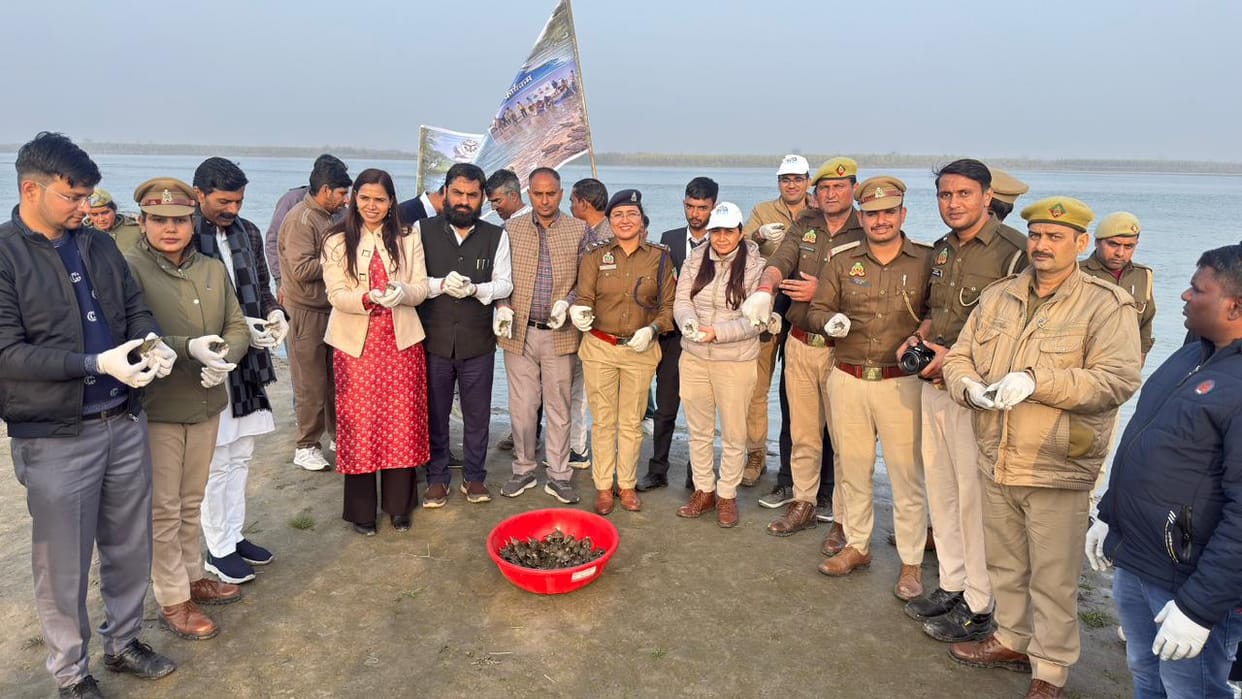 1633 turtles will become guardians of cleanliness after reaching the lap of Ganga.