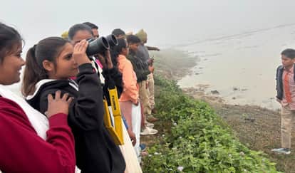 Students observed birds