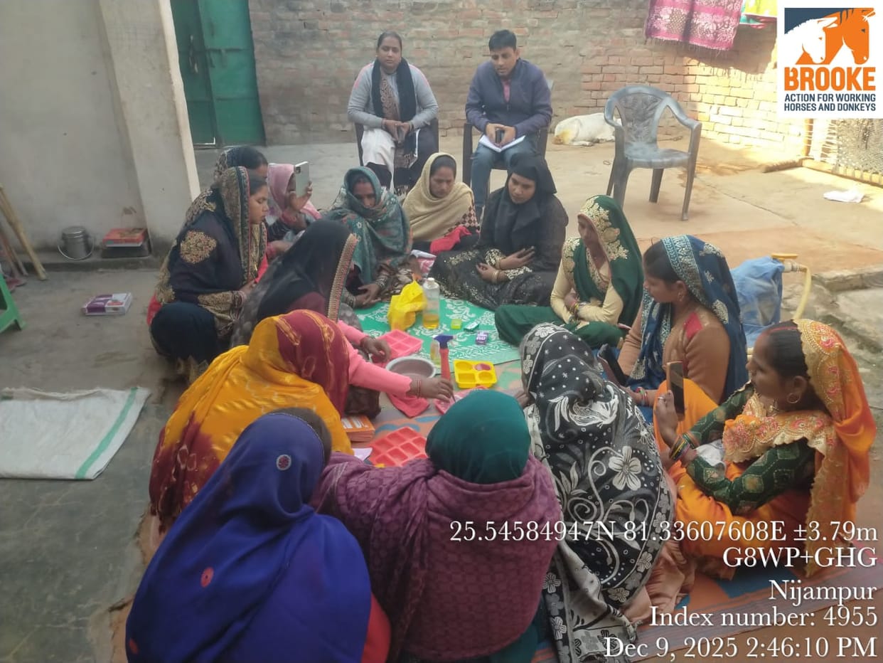 Pushpa Devi gave women the path to self-employment by forming self-help groups.