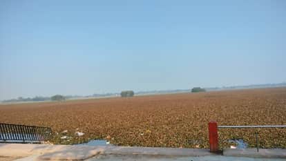 Chirping of migratory birds is no longer heard in Sitadwar Lake