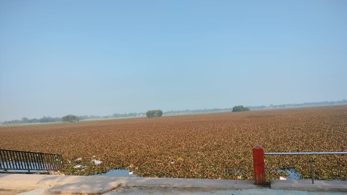 Chirping of migratory birds is no longer heard in Sitadwar Lake
