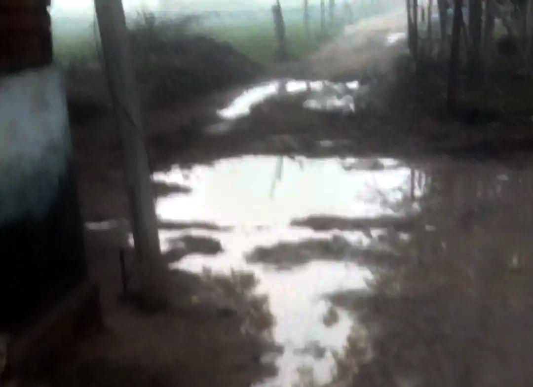 Udaipur Kala road in bad shape, pond full of filth