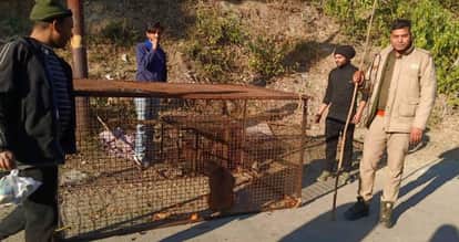 Caught monkey with a cage