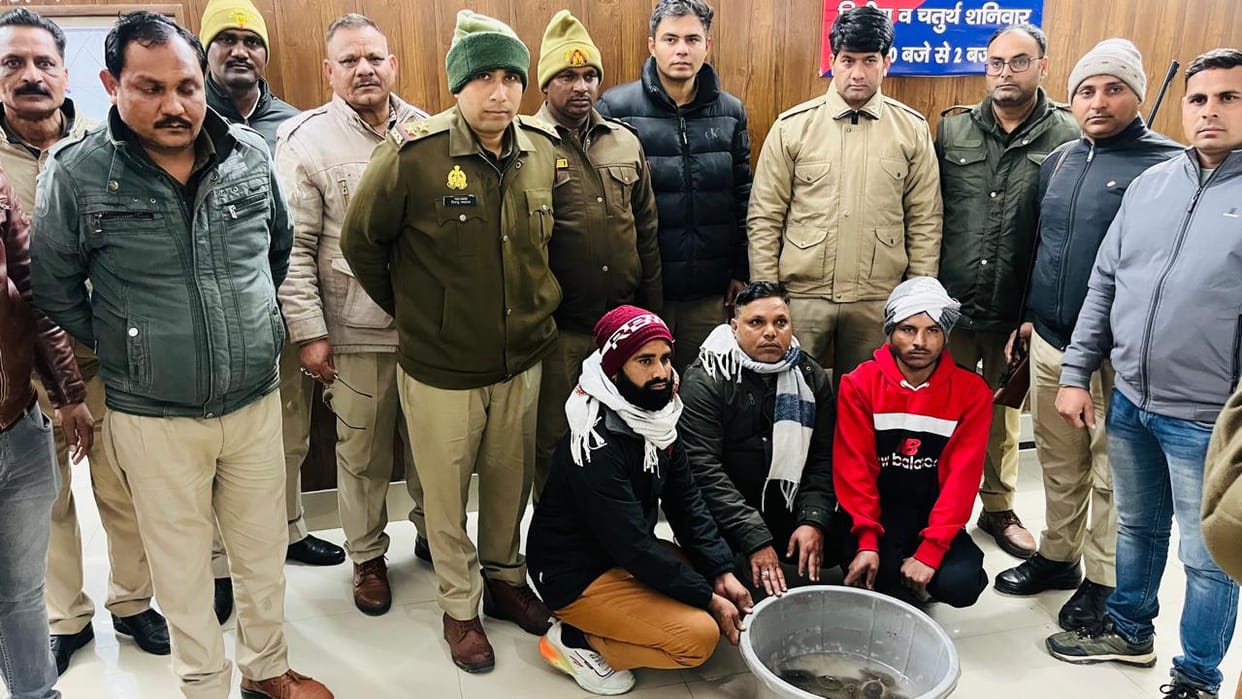 Three arrested with 10 turtles