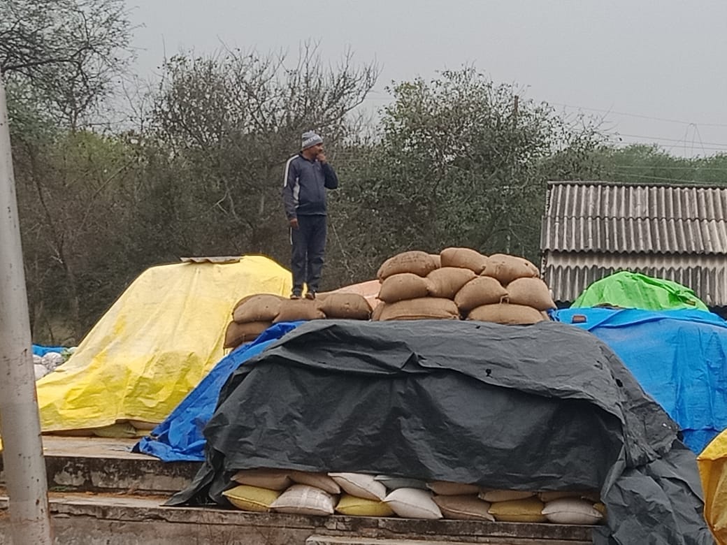Rain soaks paddy, leaves farmers with gloomy faces