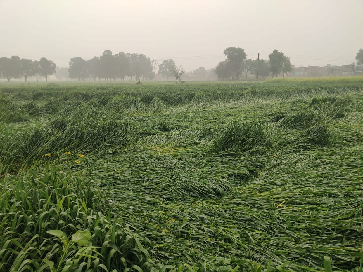Drizzle at night, dense fog in the morning