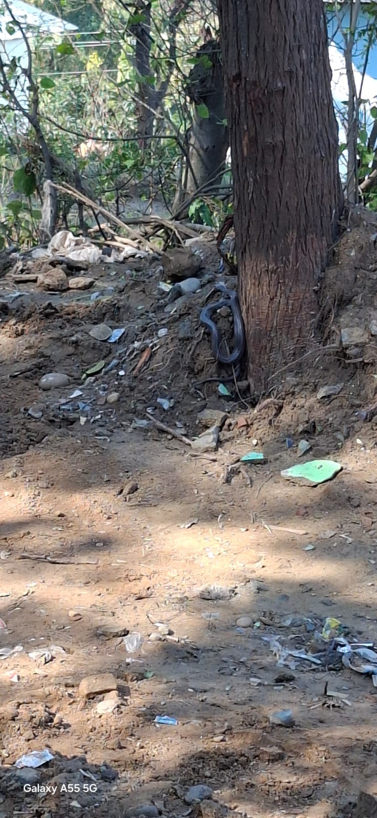 A snake blocked the road, villagers demanded its rescue.