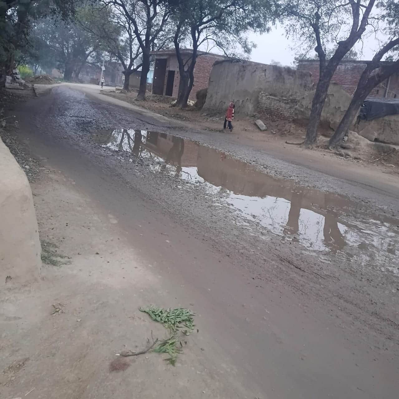 जर्जर हालत में वजीरगंज–सुरसैना–उसैता मार्ग। स्रोत- ग्रामीण