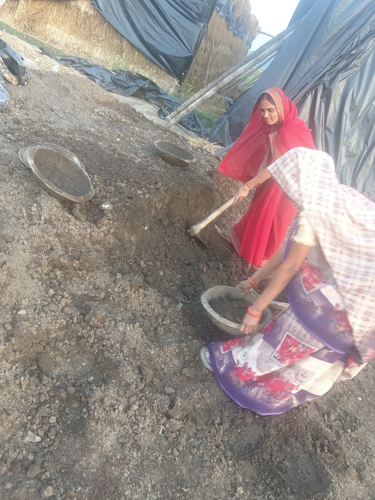 Mushroom farming has changed their fortunes, and the women of the group are on the path to becoming self-reliant.