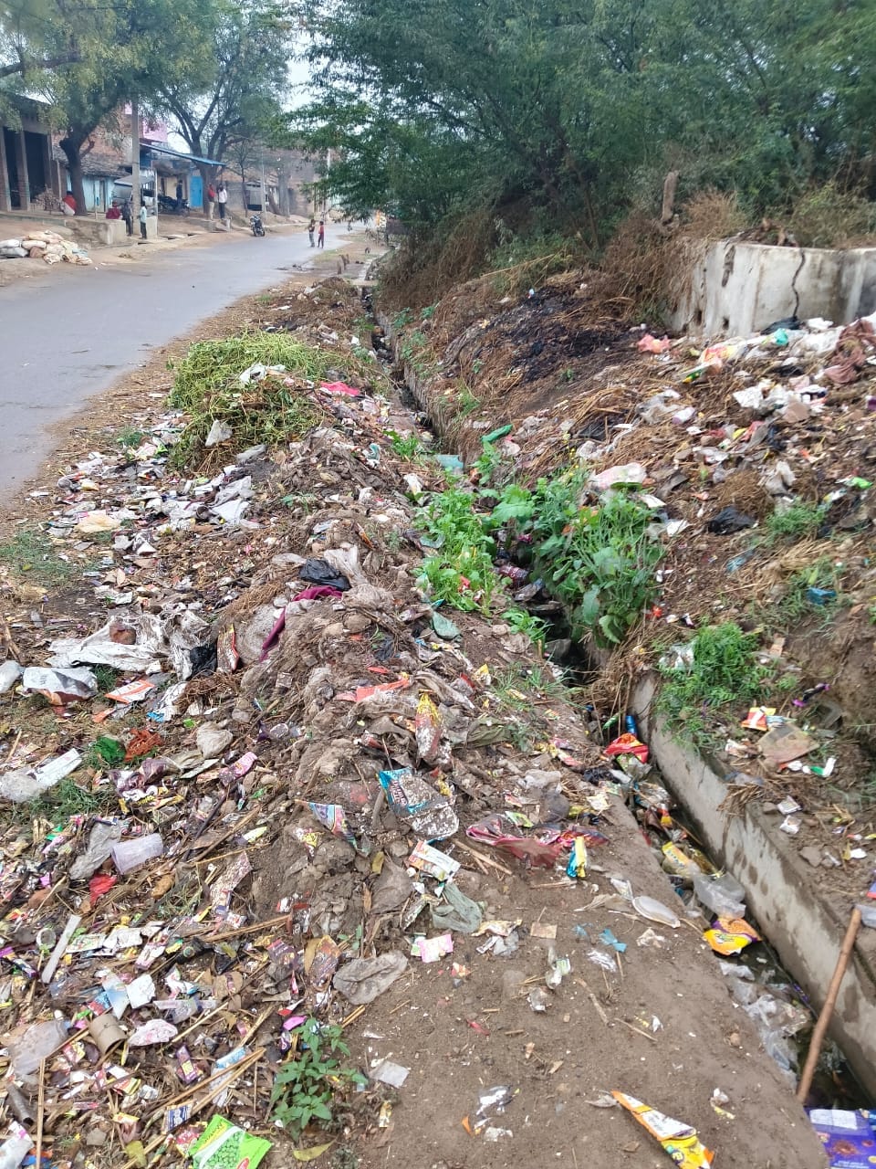 Only one sanitation worker for a population of eight thousand