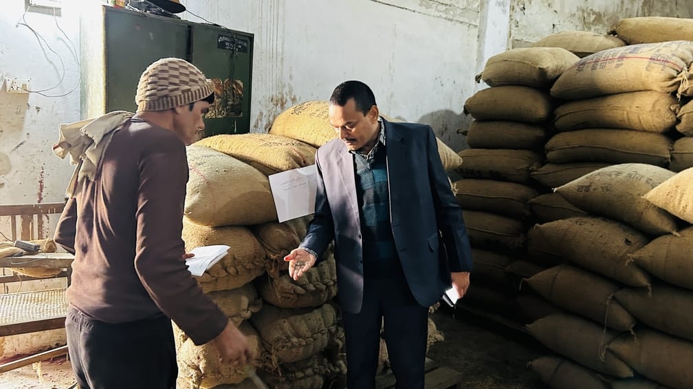 Fragrance of black salt will spread through commercial farming