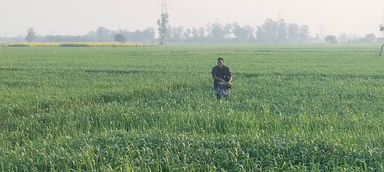 Relief from sunshine, but increased outbreak of diseases