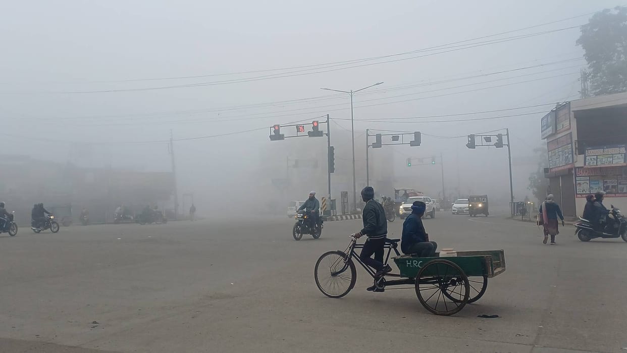 Fog in the morning, relief from sunlight during the day