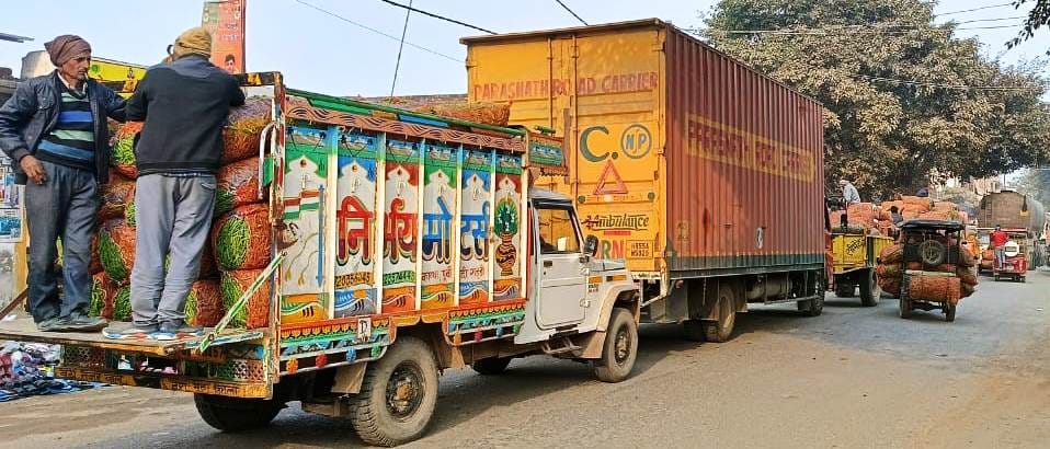 Peas are being purchased at various locations along the Mohanpura road.