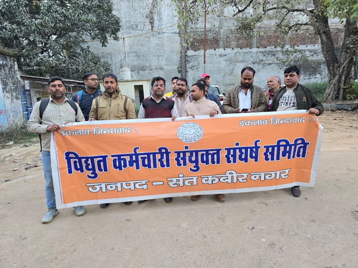 Demand to withdraw the proposal for privatization of electricity