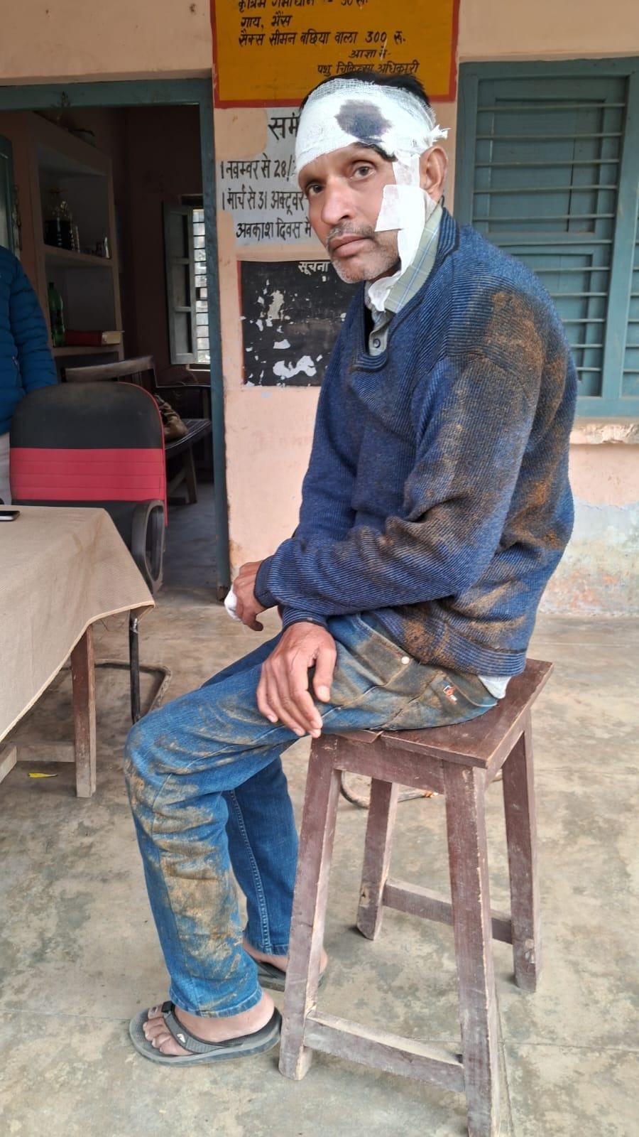 A bull attacked an animal husbandry department employee, but he survived.