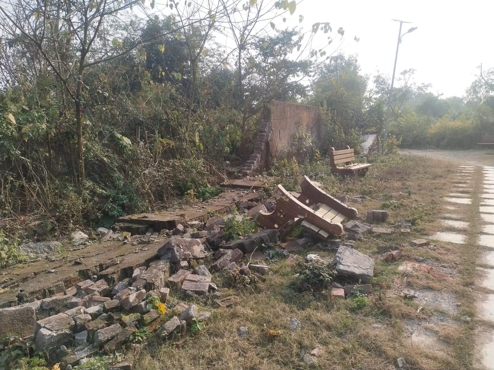 5000 trees to be planted in East Delhi as part of Sanjay Lake remodeling