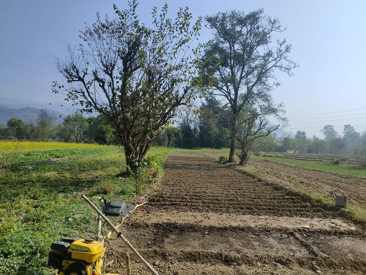 22 farmers will benefit from the Him Krishi Cluster Scheme.