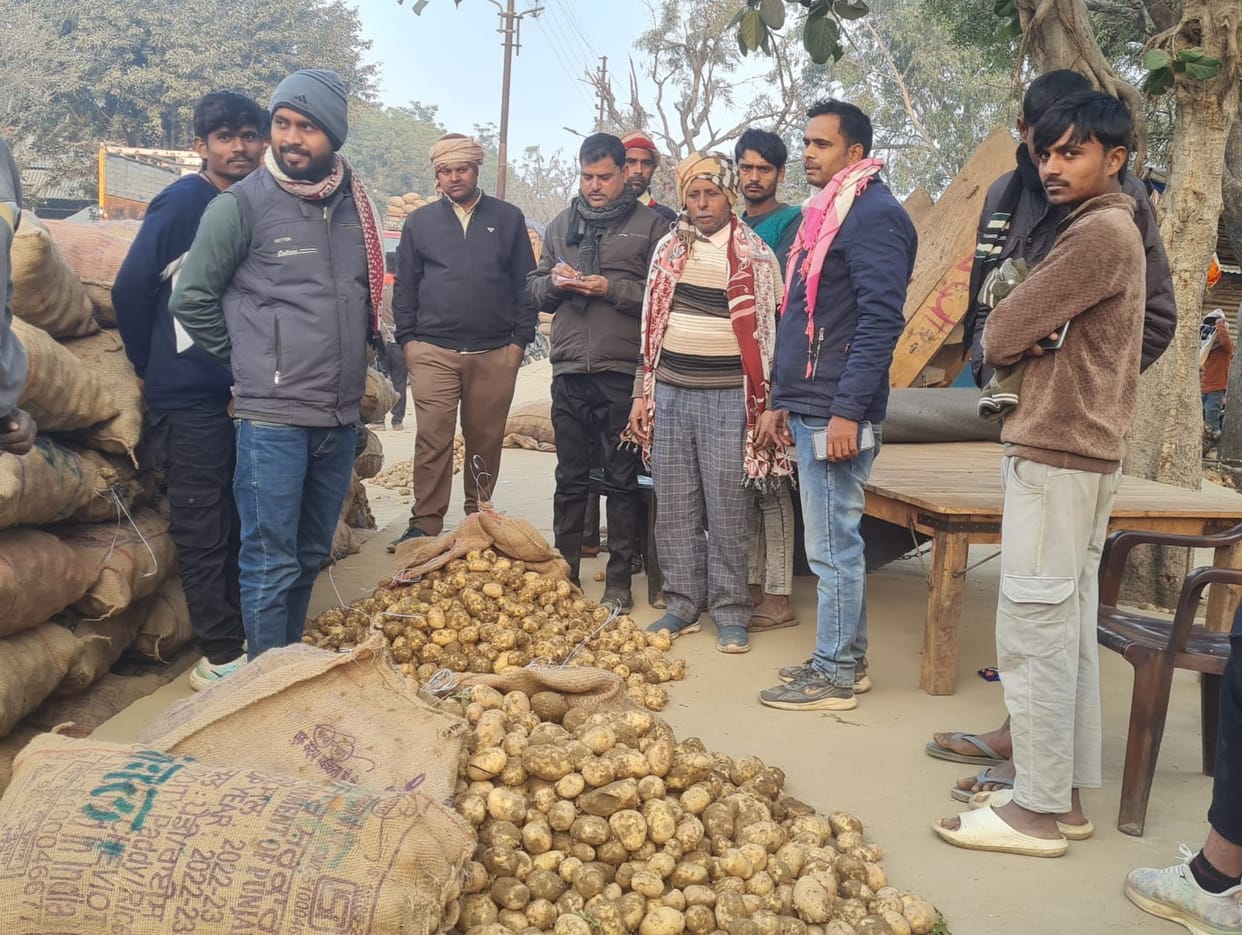 Bumper production in West Bengal has disrupted the potato price dynamics.