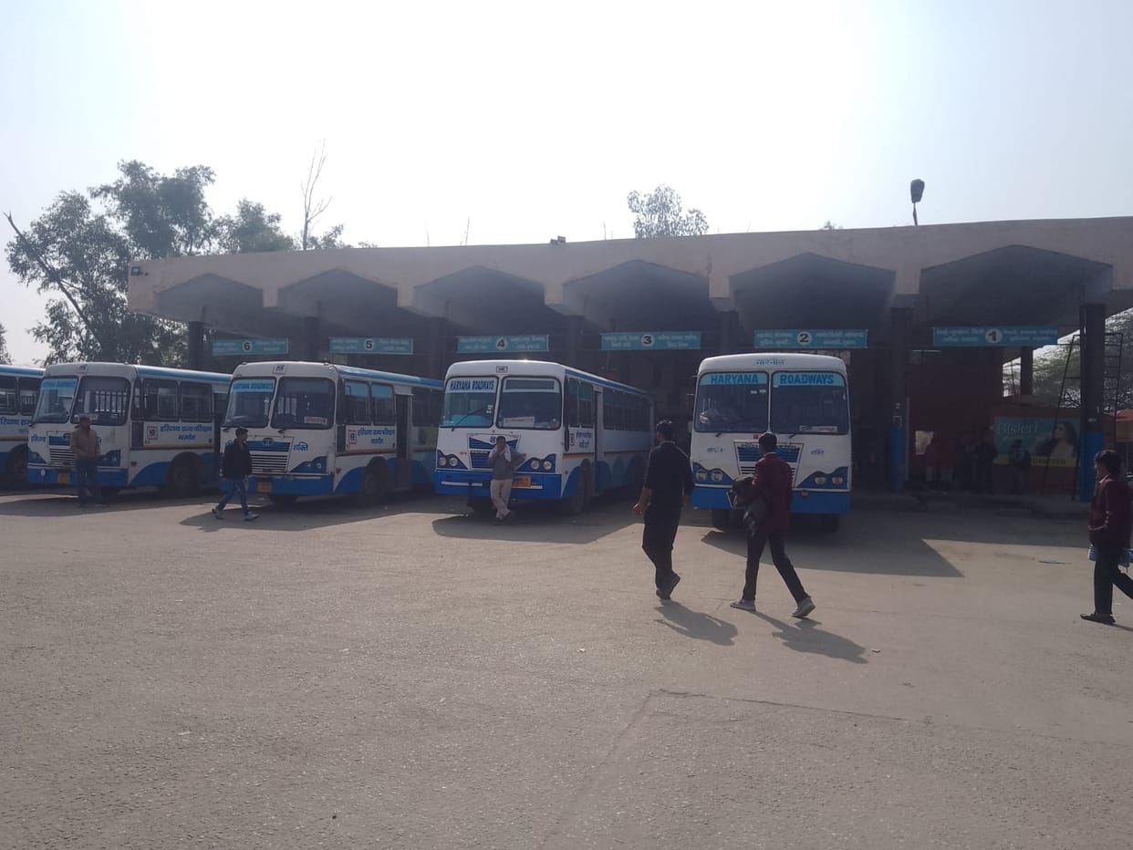 Three buses have been sent for the state-level animal fair; they will operate until the 8th.