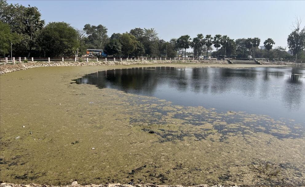 The appearance of the lake palace has not changed, moss has accumulated, the water is rotting.