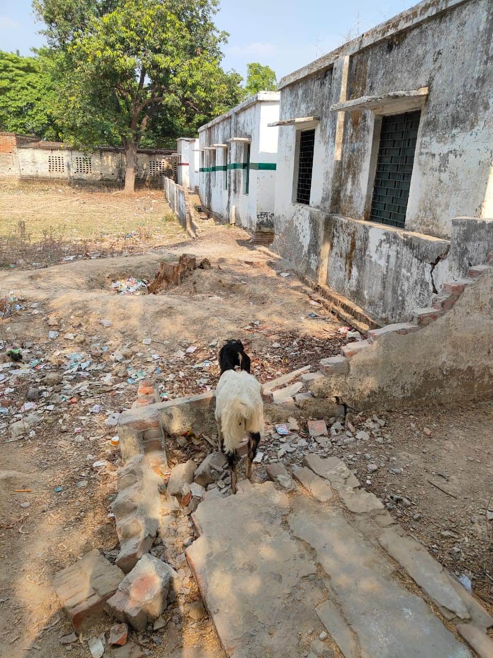 कंपोजिट विद्यालय सारीपुर की टूटी बाउंड्री । संवाद