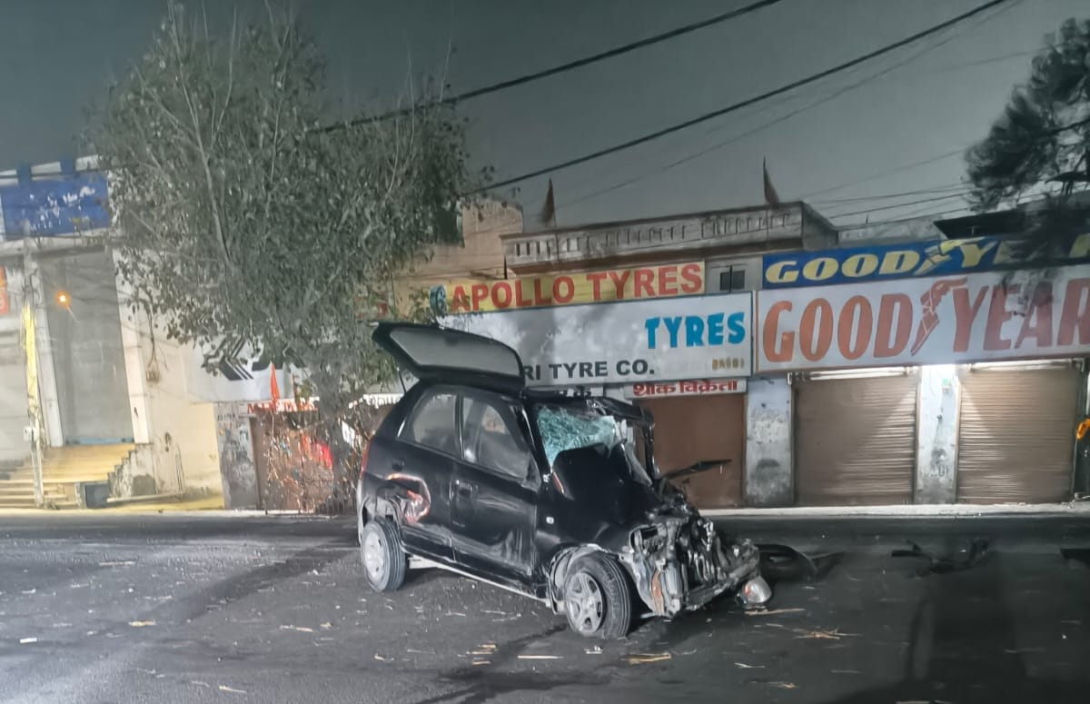 Car collides with stray animal, father dies