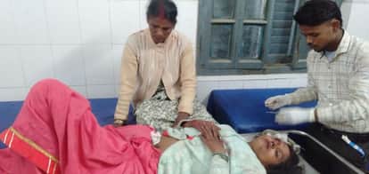 Purnea: Auto rickshaw collides with tree while trying to save motorcycle, 4-month-old infant dies, 10 injured