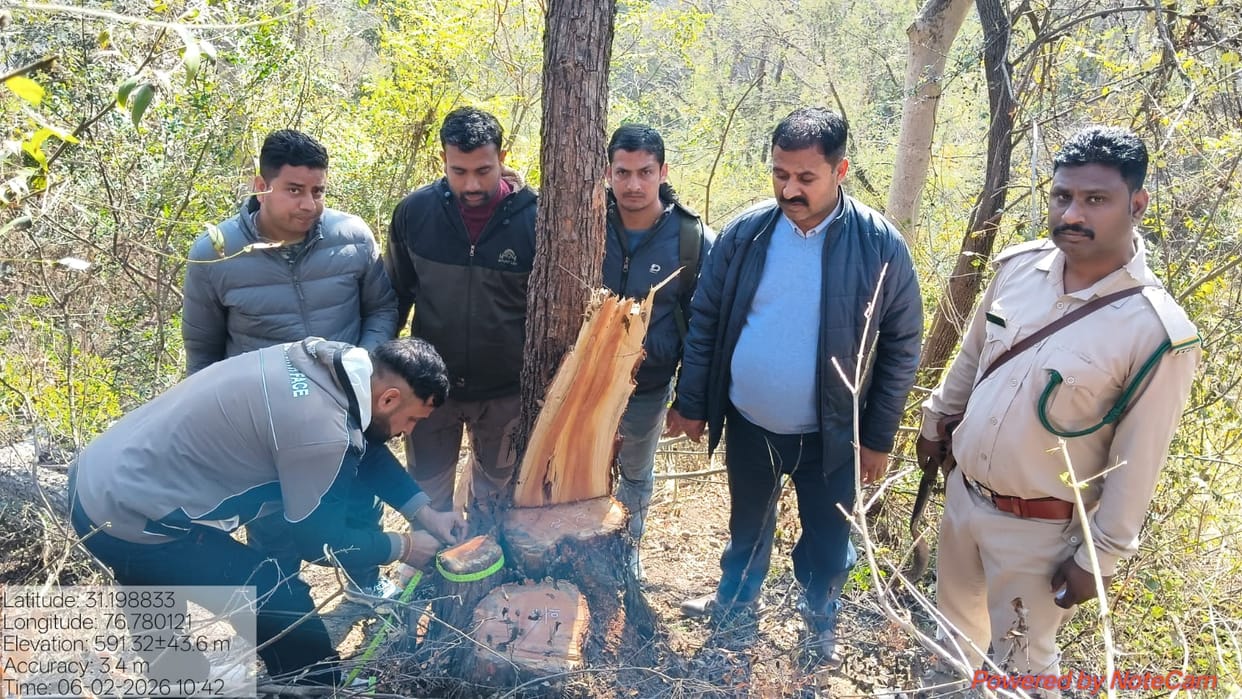 Three accused arrested for illegally felling 13 Khair trees