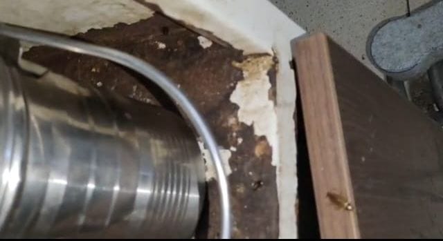 Rats are gnawing on patients' clothes and cockroaches are getting into their food at PGI.
