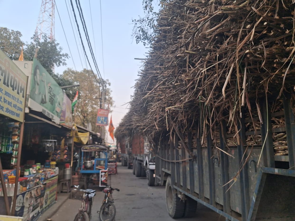 Overloaded trucks carrying sugarcane cause traffic jams, leaving traders frustrated.
