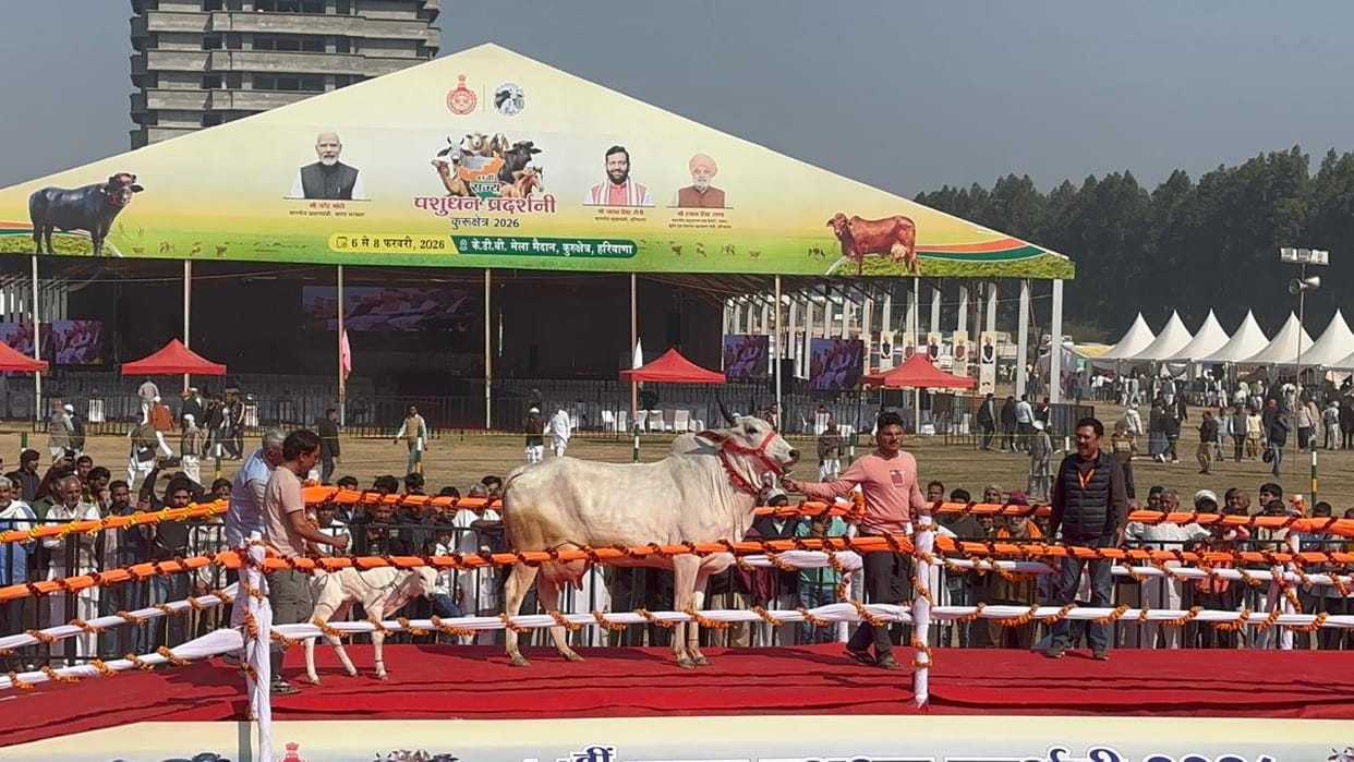 Indigenous breeds of cows like Rathi, Gir and Bilahi reached the fair.