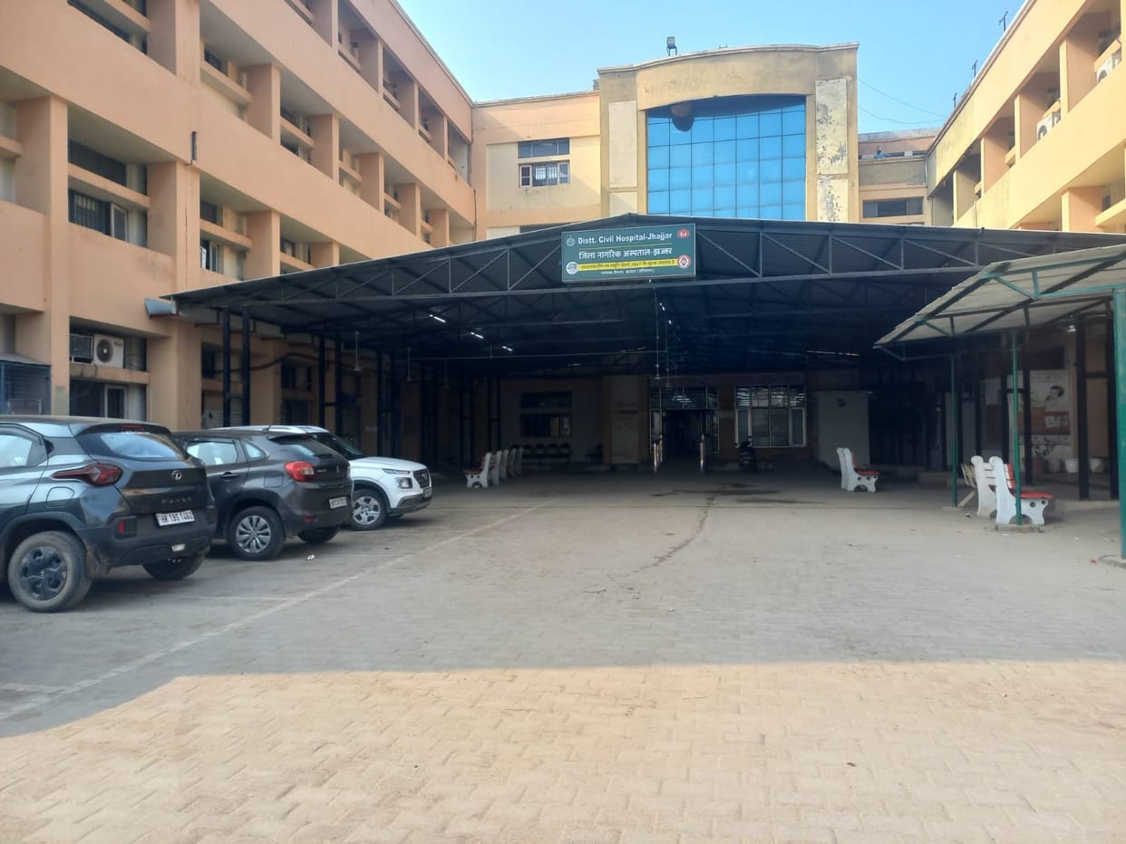 Bees halted painting work at the hospital, and a water leak is damaging the road.