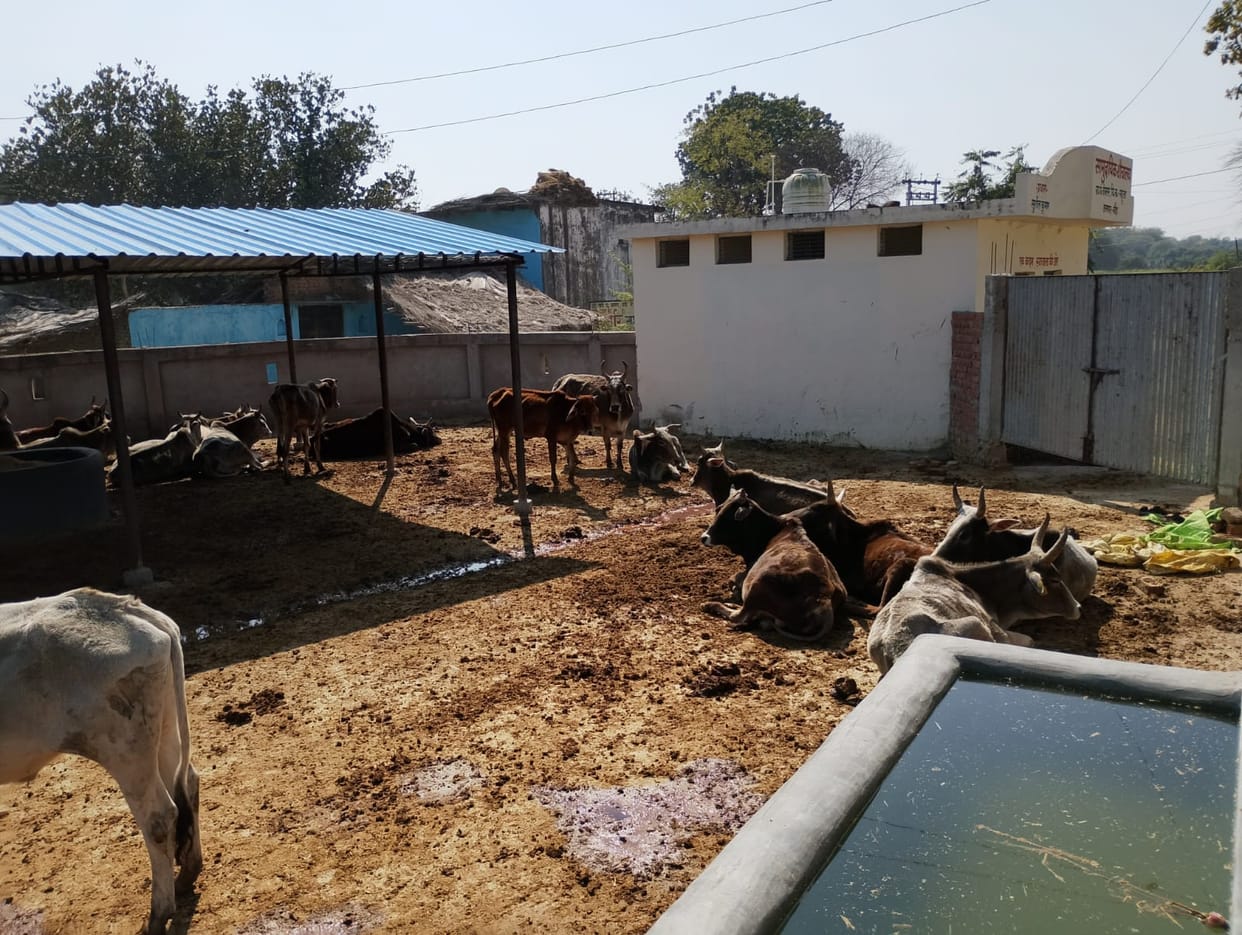 Two secretaries were taken to task for filth in cow shelters, and their salary hikes were withheld.