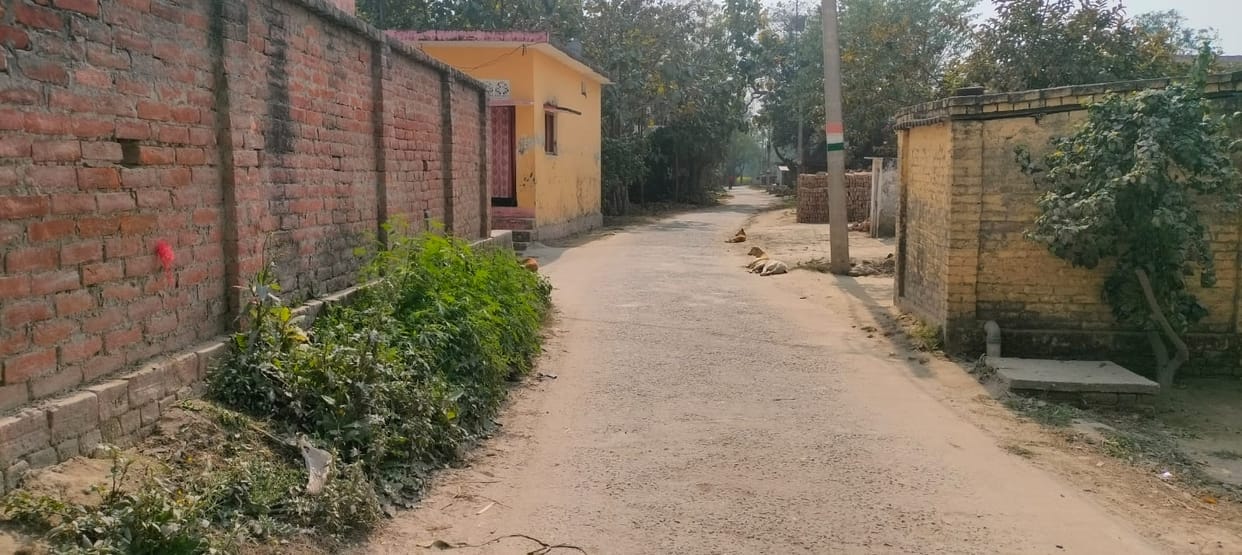 A rabid dog bit seven people; a woman is in serious condition.