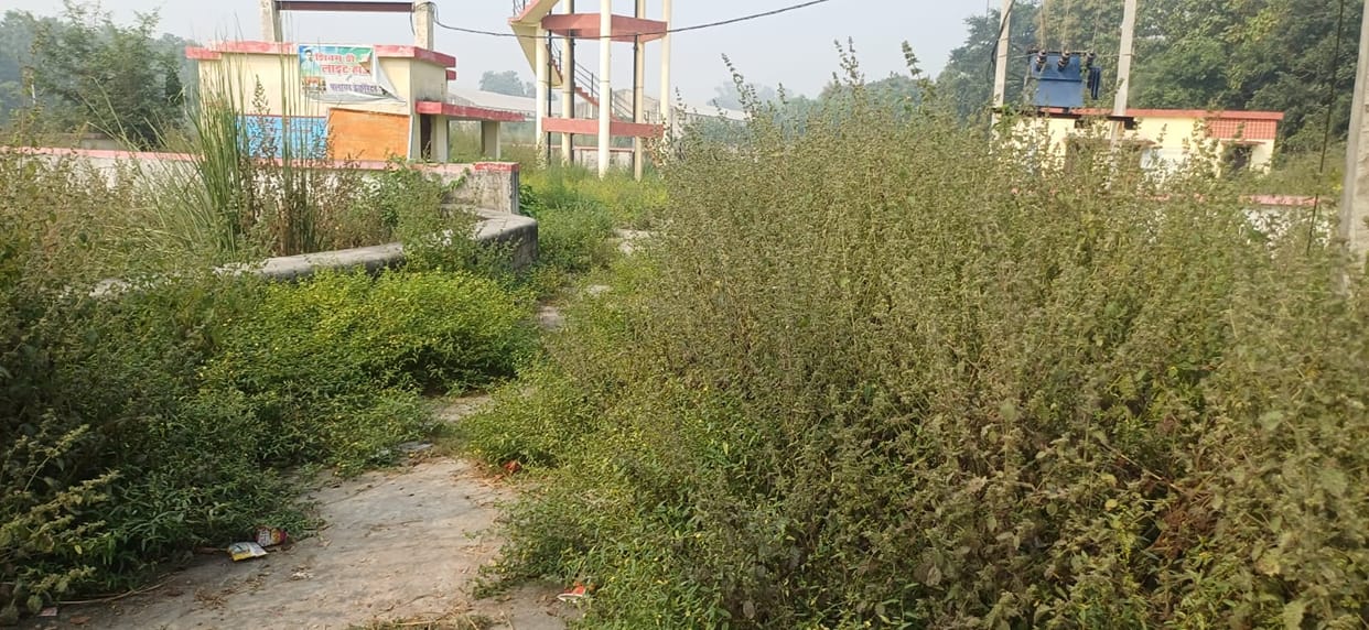 2.25 crore rupees pure drinking water project trapped in bushes