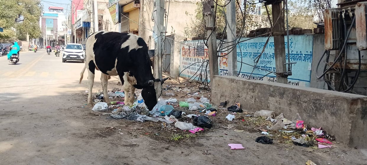 Garbage heap at Saini Chowk