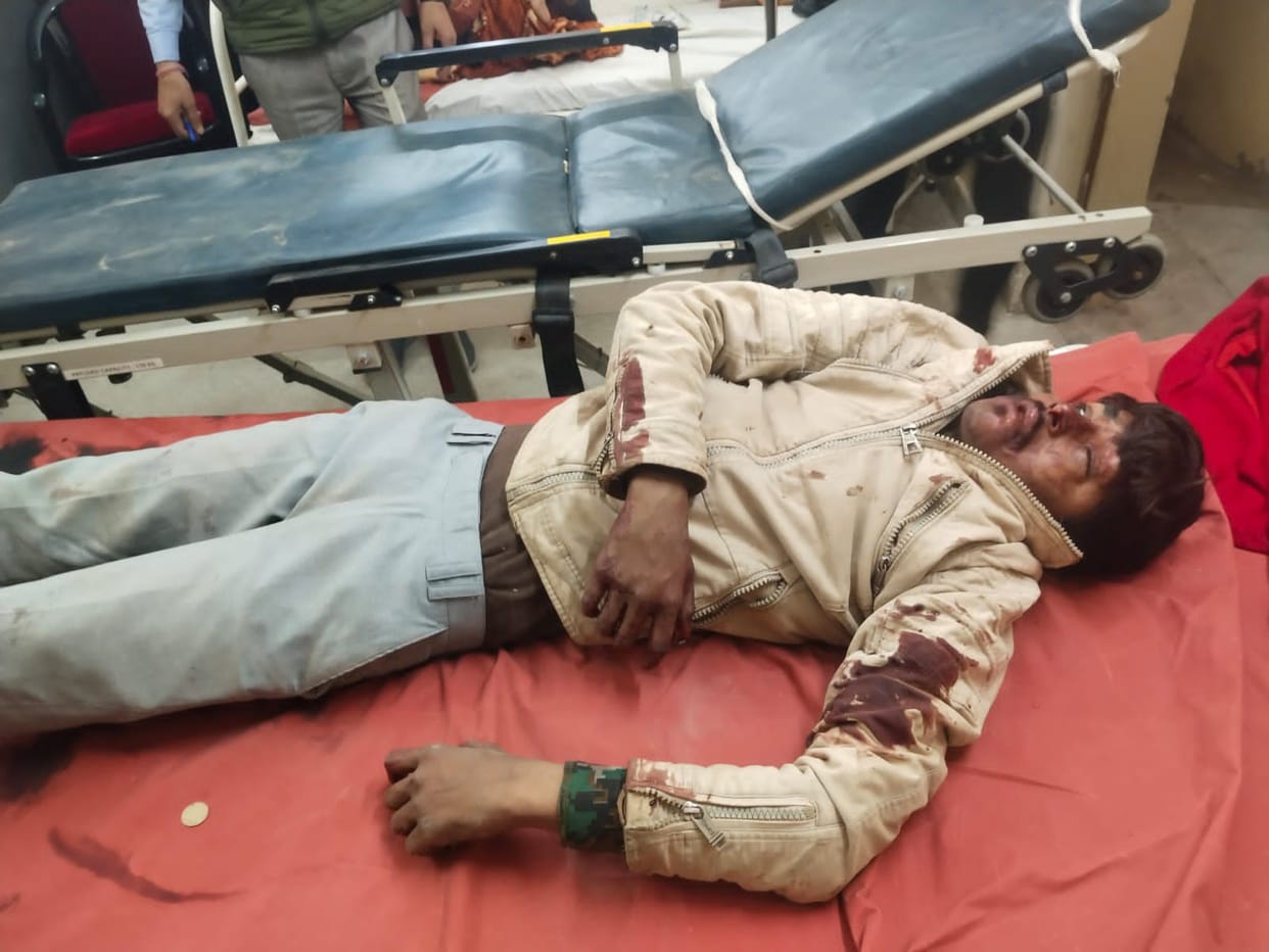 Bike rider seriously injured after colliding with a tree