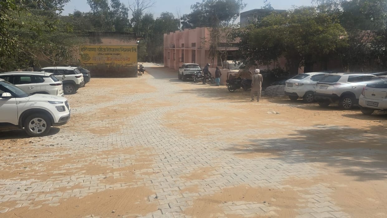 Interlocking tiles laid near the Kisan Sadan (Farmers' House)