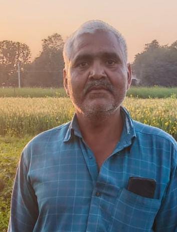 Wheat: Irrigation constraints at the time of need
