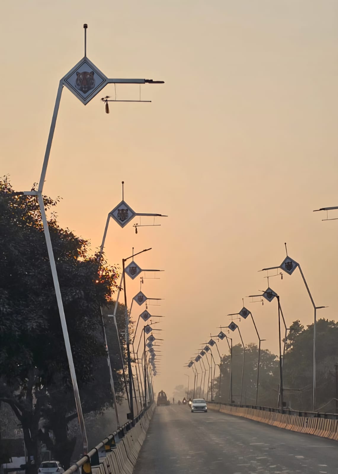 Flyover will be illuminated with designer street lights, Chhatri Square is being spruced up