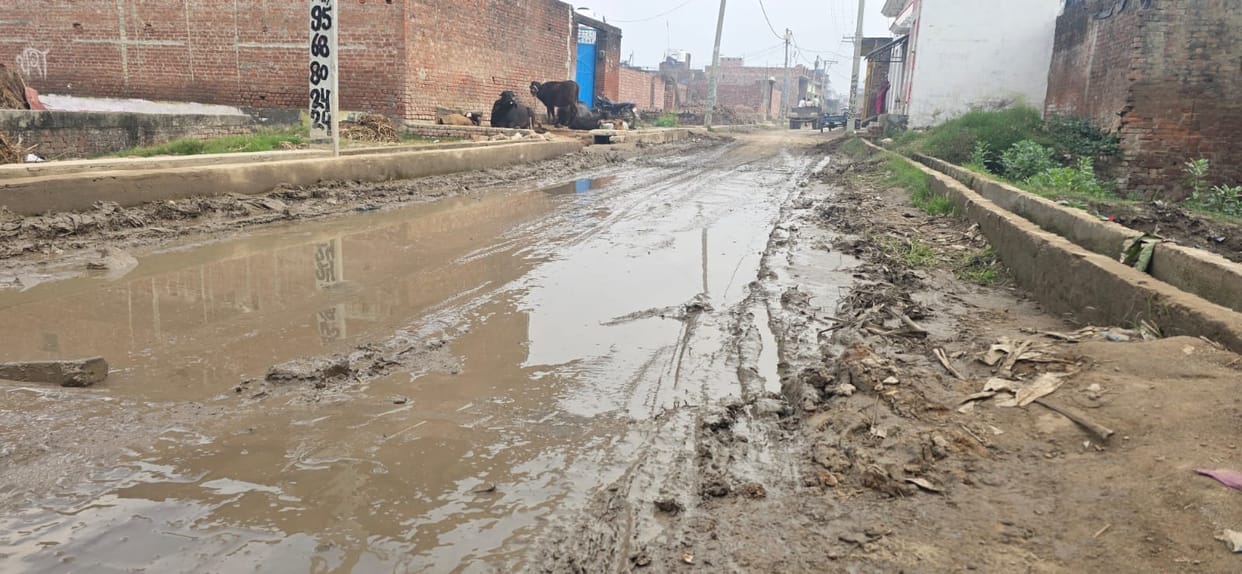 In Amroha, it's not the roads that are being developed, but the potholes.