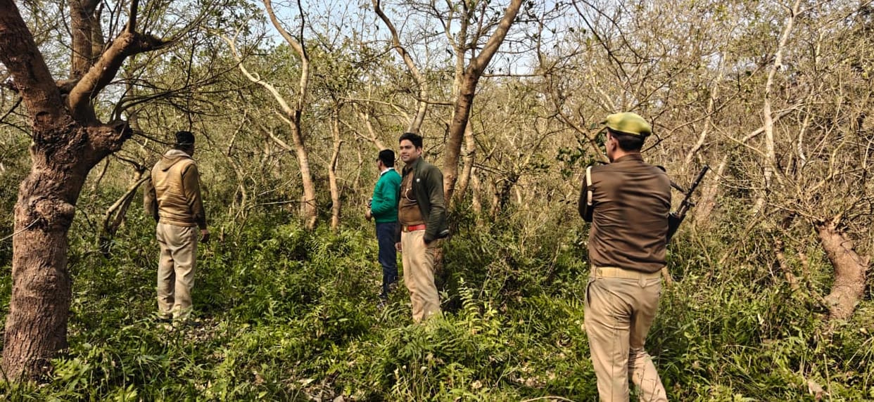 Leopard caught pet dog and went into the forest