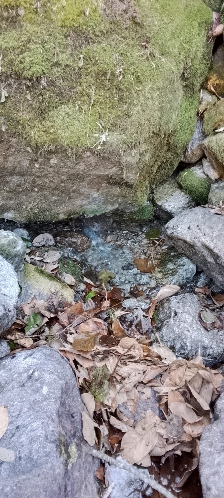 Water sources are drying up, leaving 80 families in Sirtola struggling for water.
