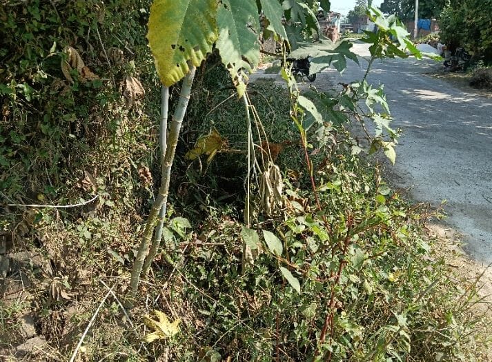Villagers are upset due to lack of cleaning of drains