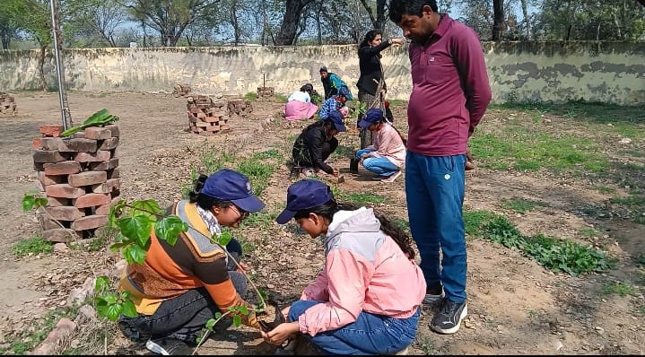 Volunteers practiced yoga