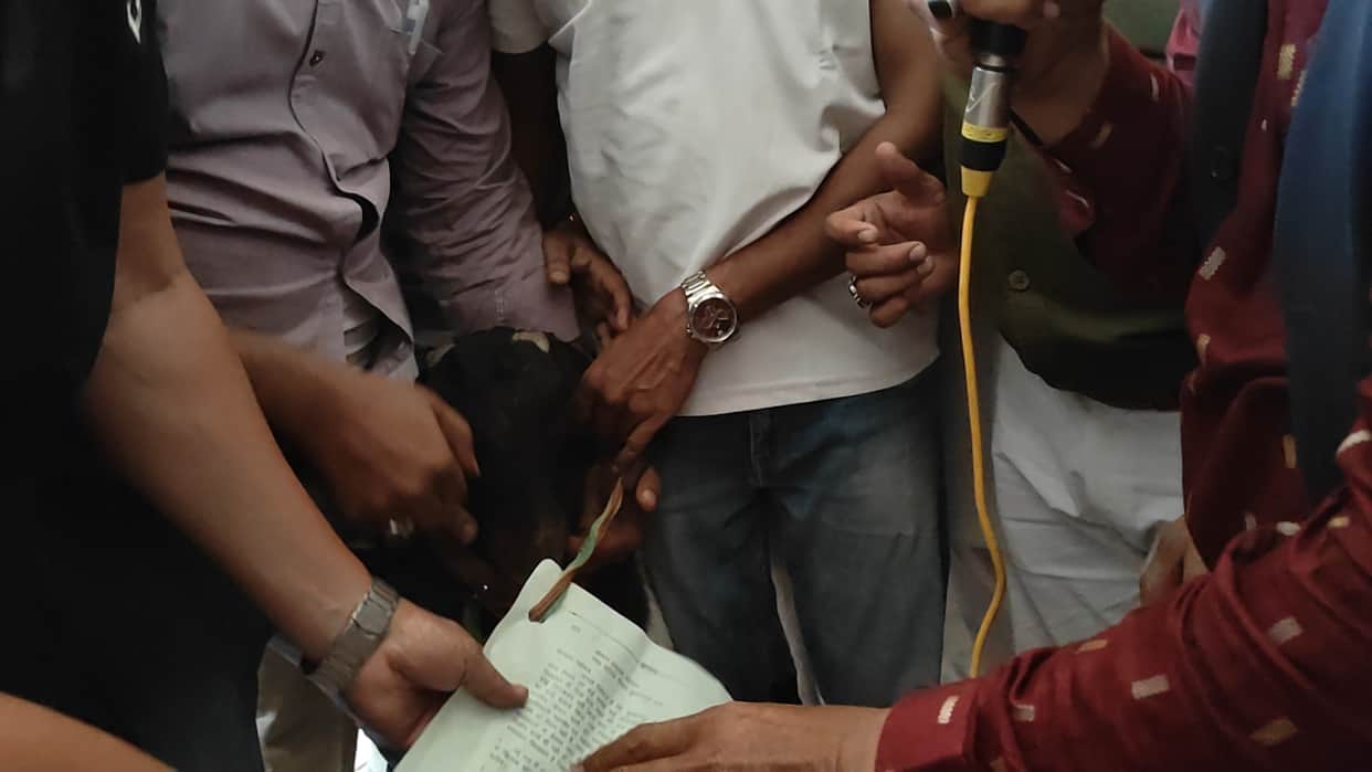 Congress Lays Siege to Municipal Corporation Over SIR Row; District Chief in Heated Call with Commissioner